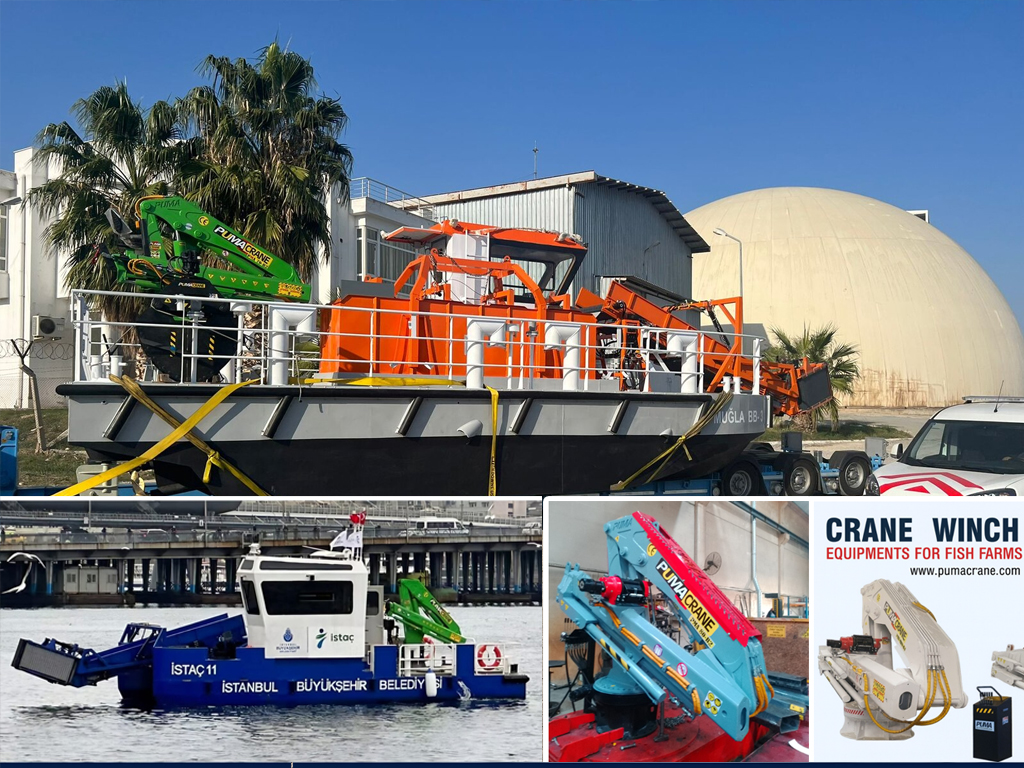 Puma marine crane manufacturing and installation