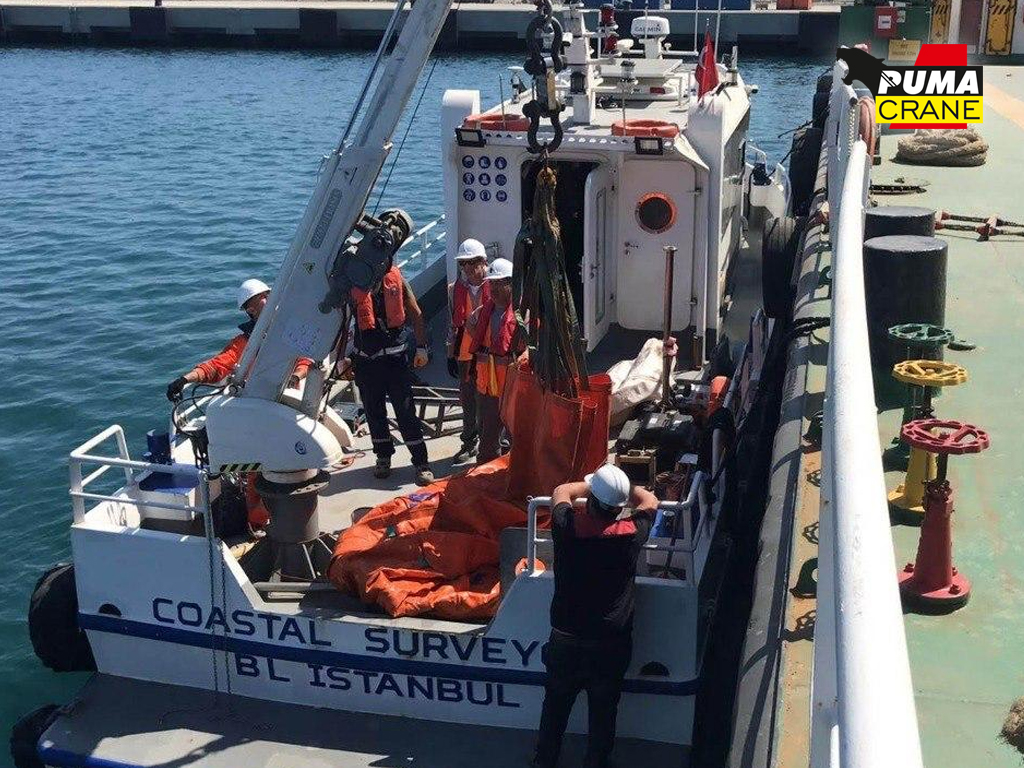Puma Marine Cranes