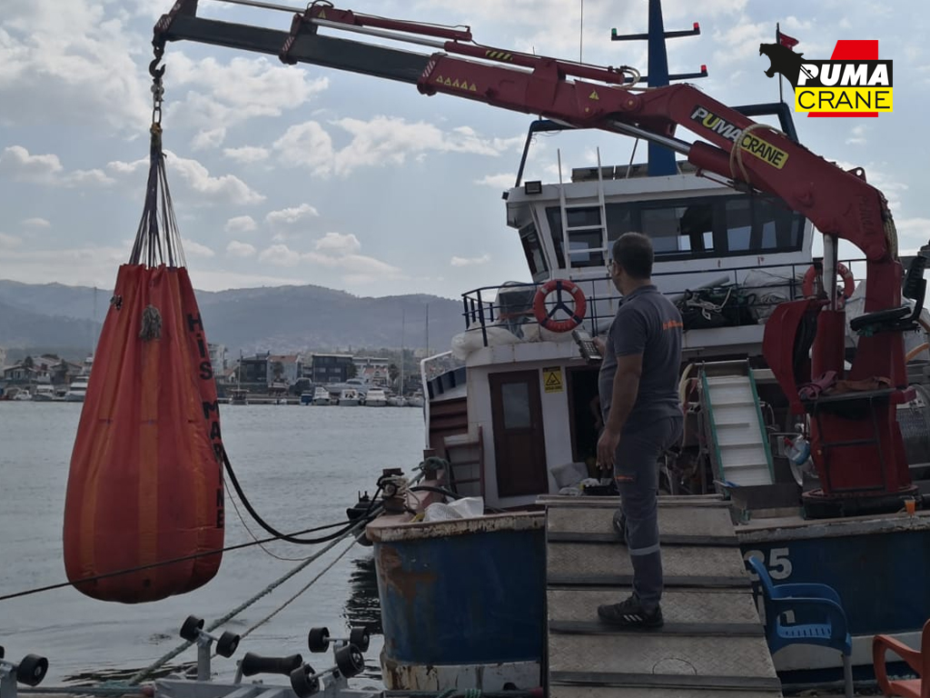 Telescopic Marine Crane 2