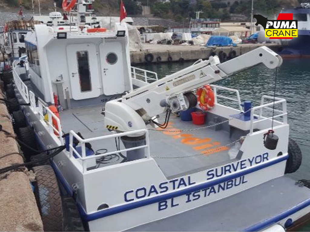 Telescopic Marine Crane 4