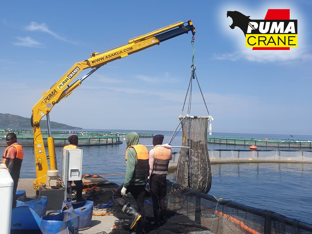 Puma marine crane manufacturing and installation